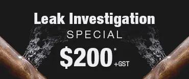 Leak Investigation Discount Tamaki
